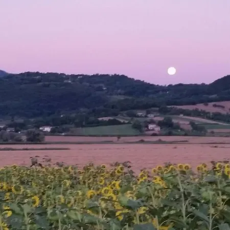 Torrenieri Da Alessandro