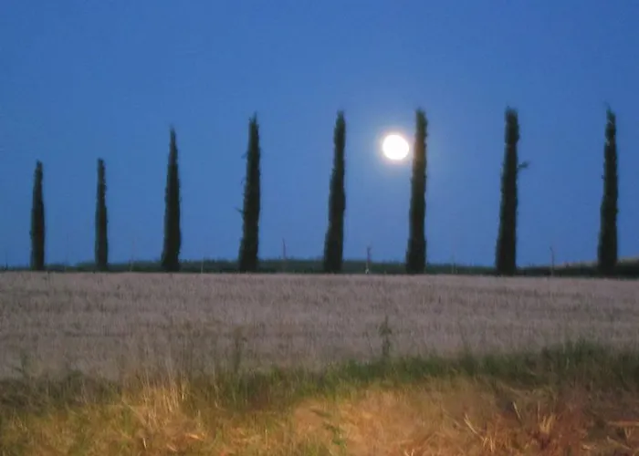 팜스테이 Torrenieri Da Alessandro *