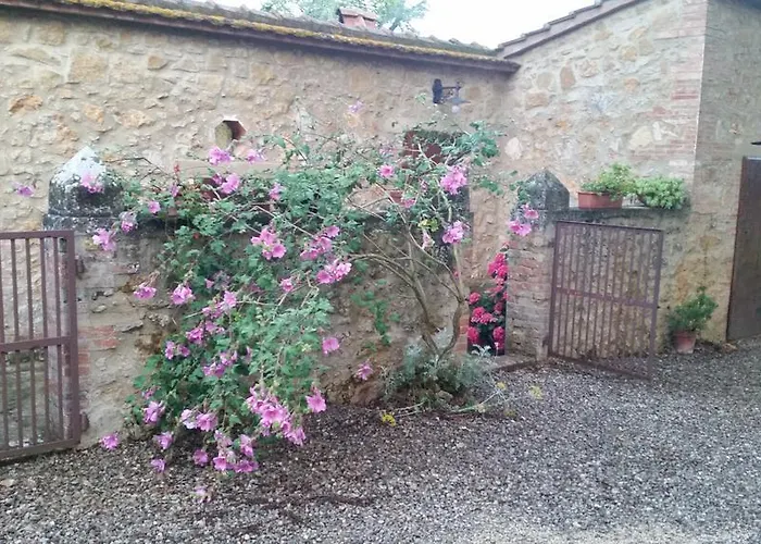 팜스테이 Torrenieri Da Alessandro