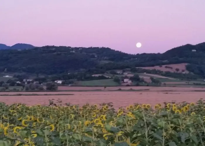Torrenieri Da Alessandro