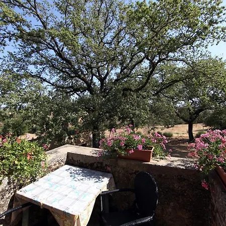 Farm stay Torrenieri Da Alessandro *