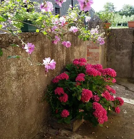 Torrenieri Da Alessandro